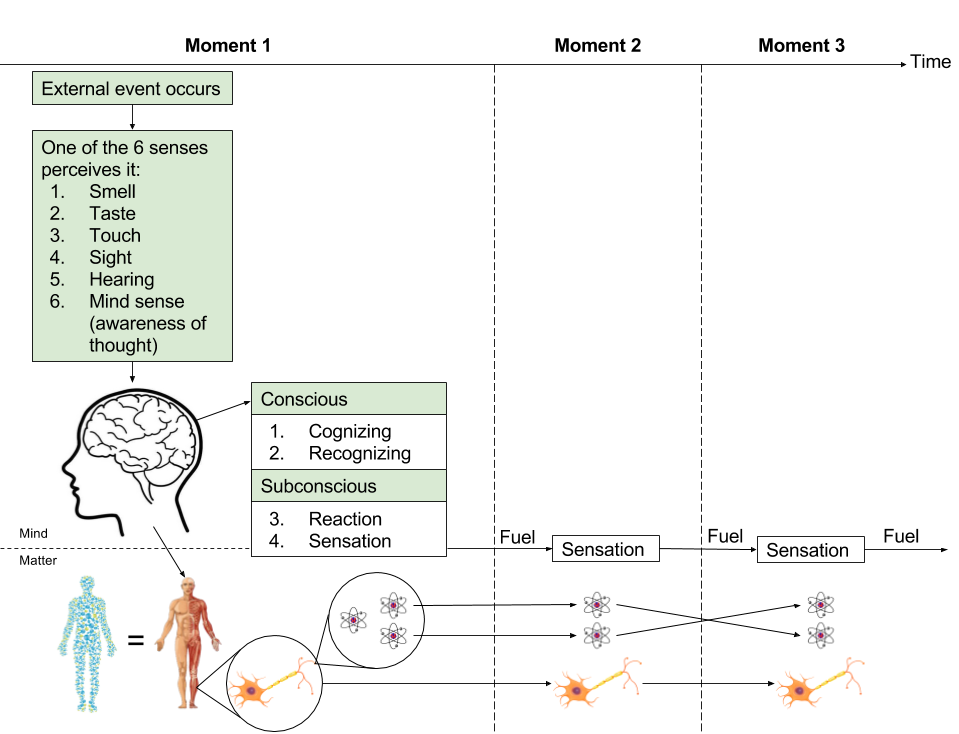 Science of Vipassana (1)